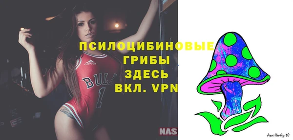 метадон Беломорск