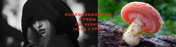 прущая мука Богданович