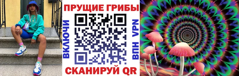 Псилоцибиновые грибы Cubensis Гай